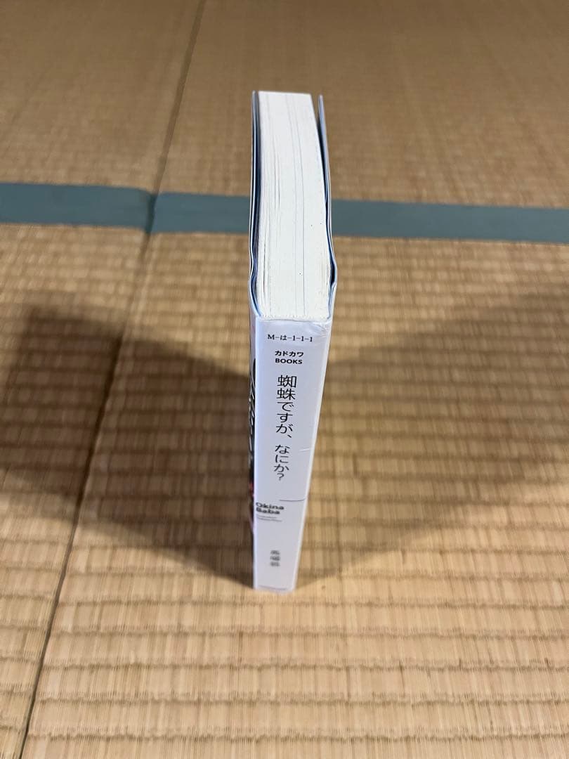 蜘蛛ですが、なにか？全16巻セット+おまけ
