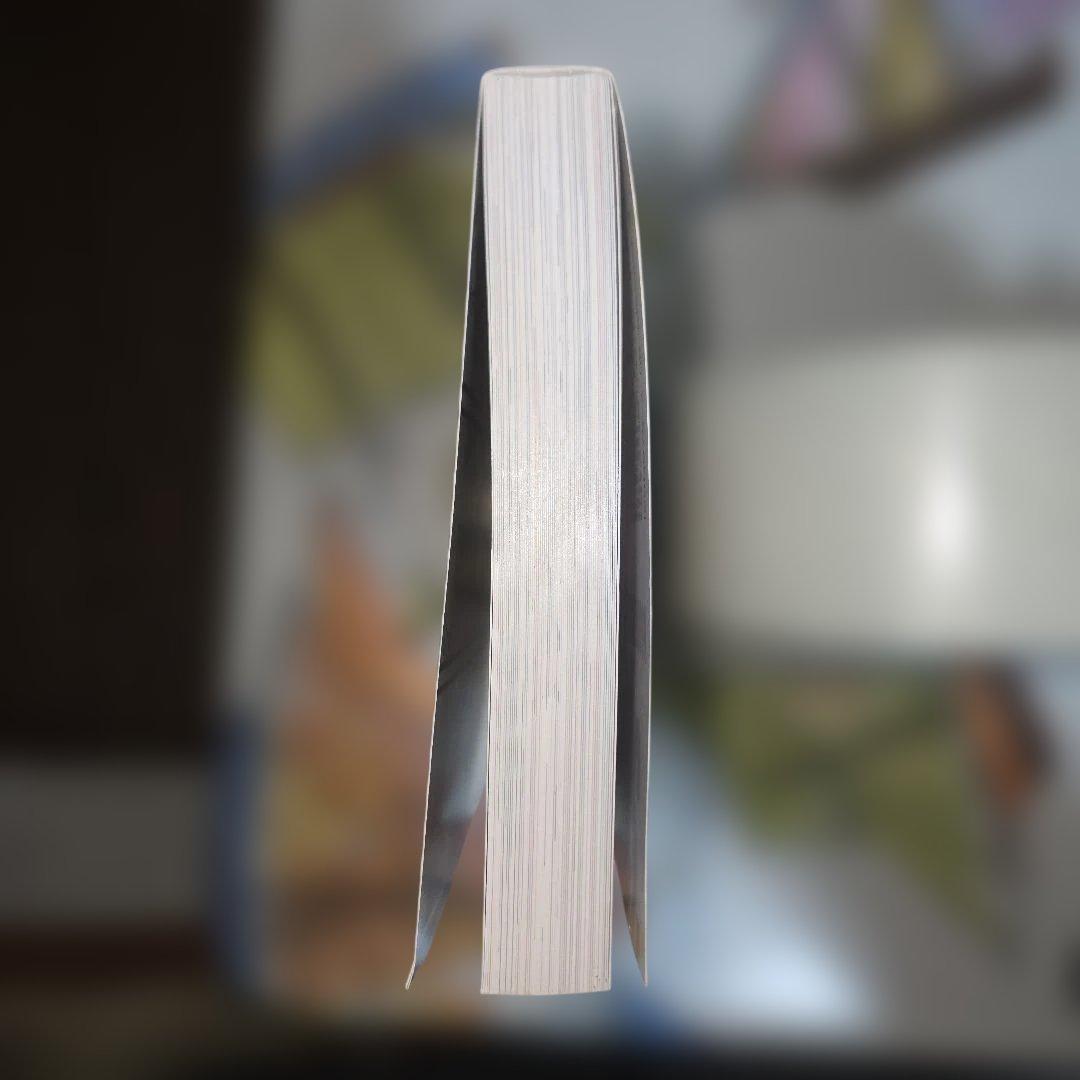 【初版】BLEACH MAILs. ブリーチ メイルズ【送料無料】