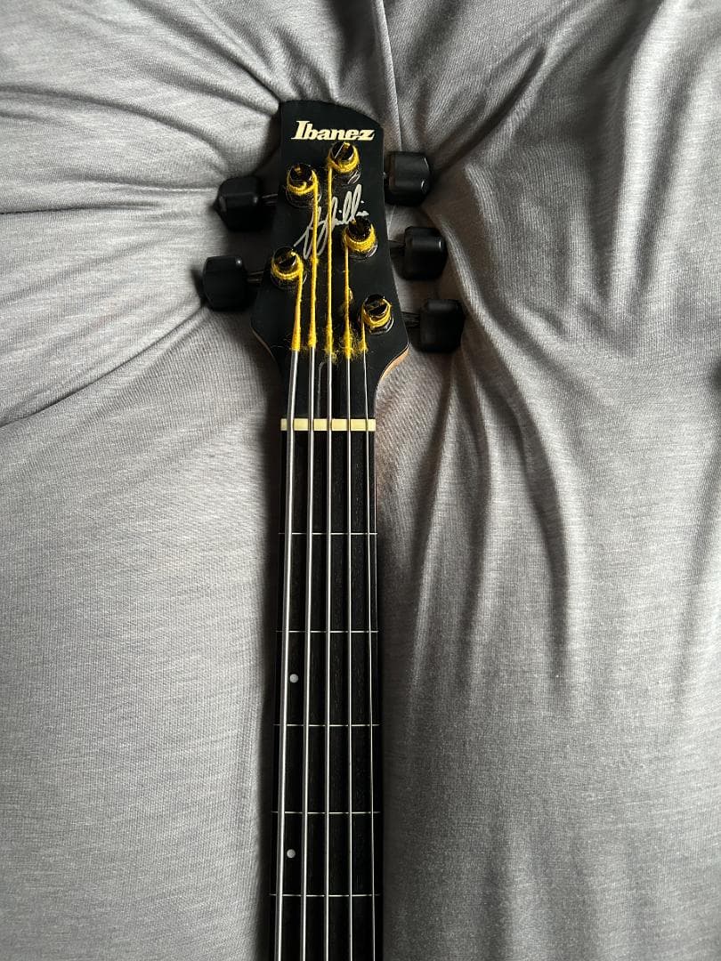 Ibanez エレキベース GWB205 - 5弦 フレットレス