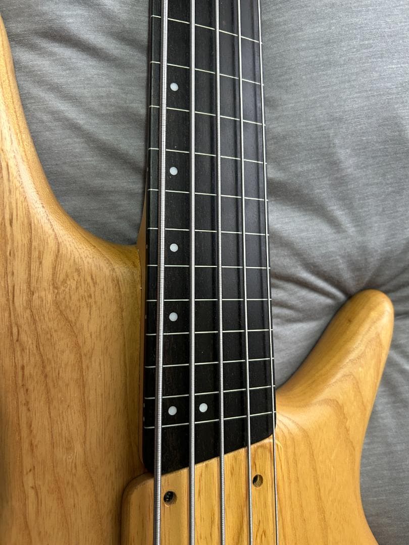 Ibanez エレキベース GWB205 - 5弦 フレットレス