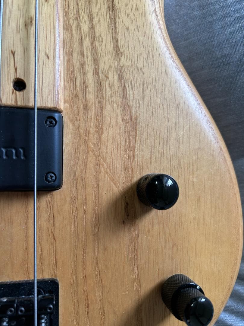 Ibanez エレキベース GWB205 - 5弦 フレットレス