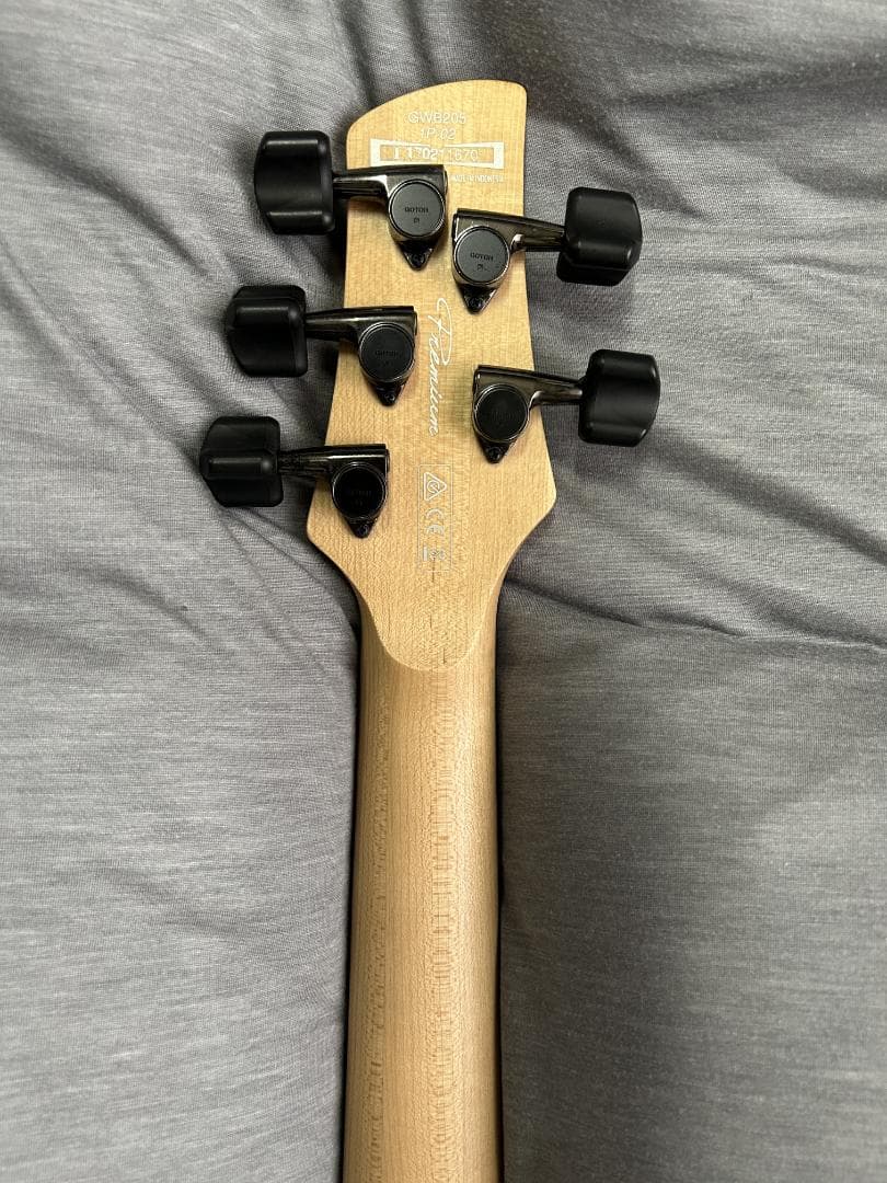 Ibanez エレキベース GWB205 - 5弦 フレットレス