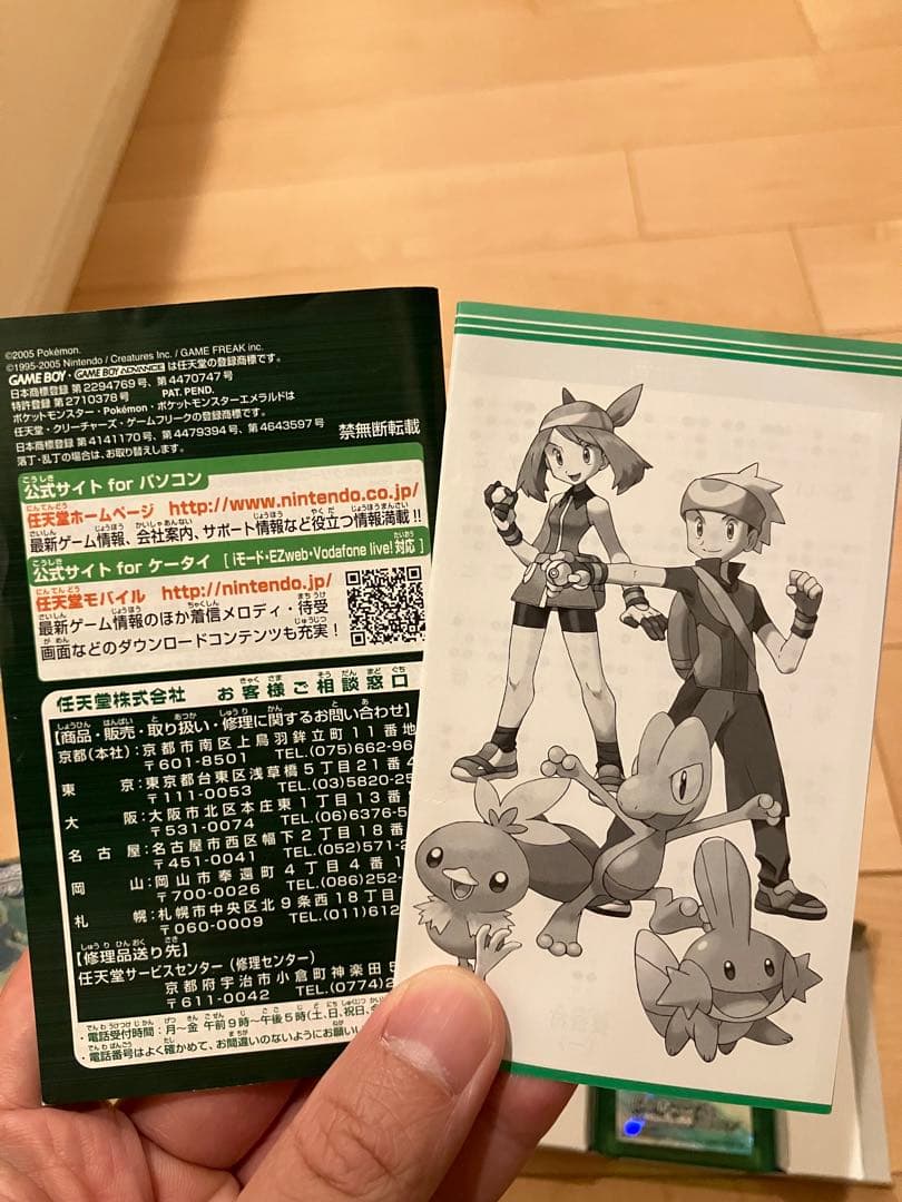 ポケットモンスター　エメラルド　ポケモン