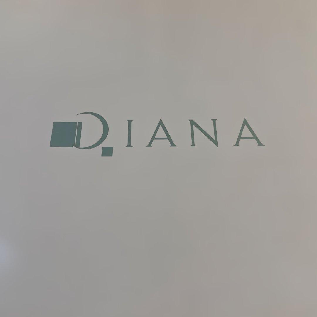 ももさん専用 DIANA スタッズ付きロングブーツ グレー