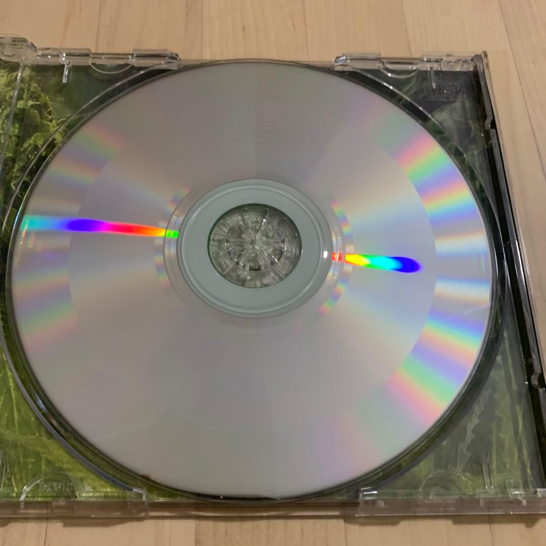 洋楽 Lil Blunt pure  g-rap