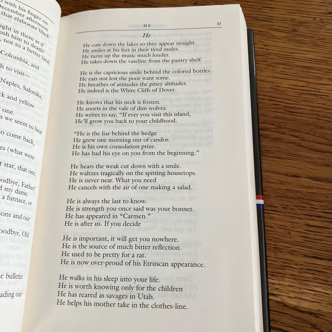 ジョン・アシュベリー詩集 2巻セット 希少　John Ashbery