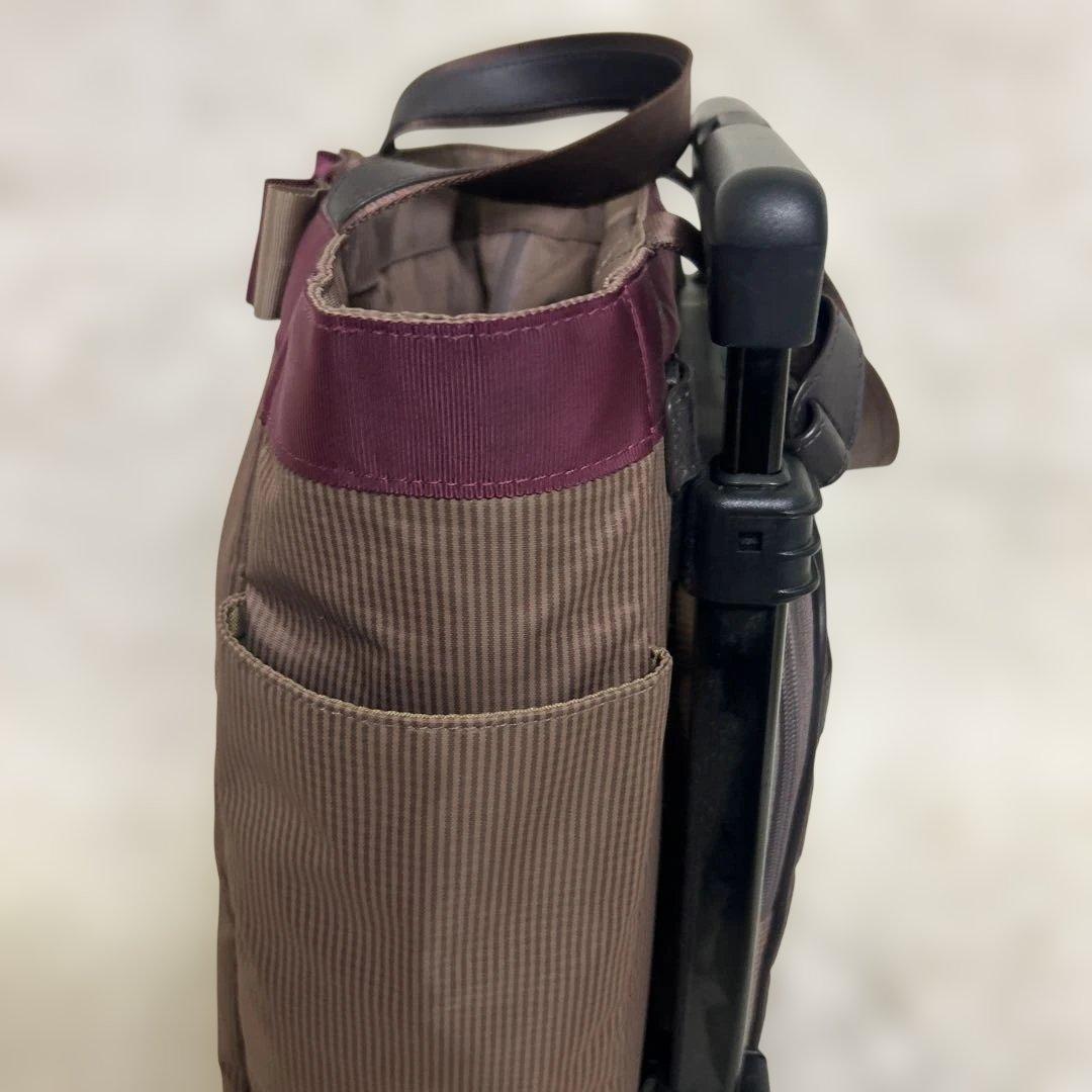 美品　SWANY Mサイズ　ルバンド　キャリーバック　グレージュ色
