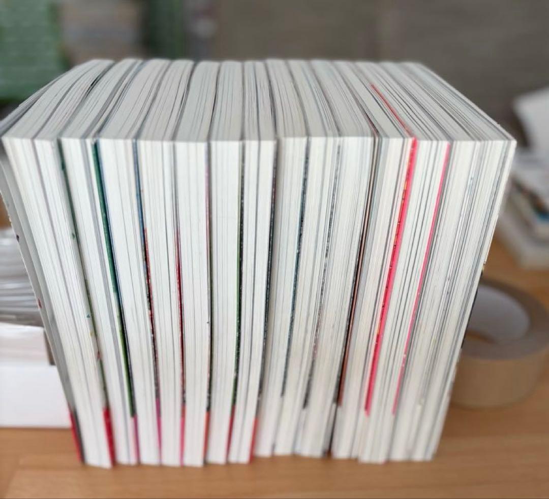 私のことを憶えていますか 全巻セット 1〜14巻