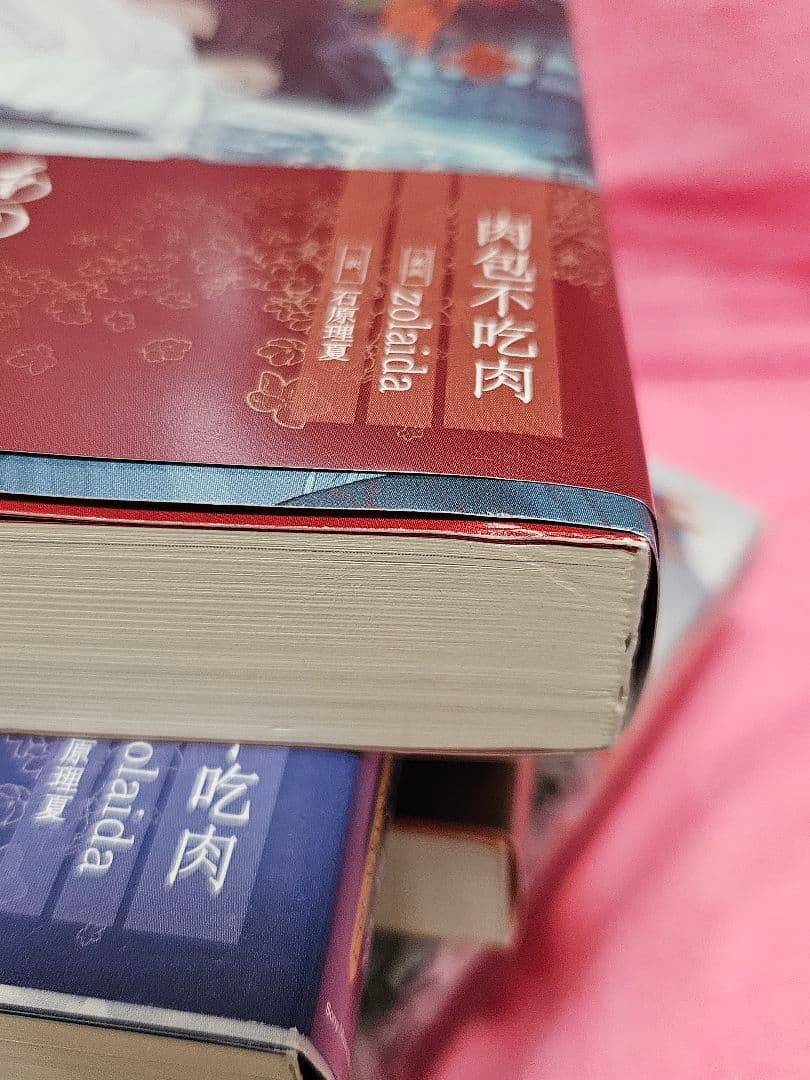 人気小説『二哈和他的白猫師尊(ハスキーとかれのしろねこしずん)』全巻　オマケ付き