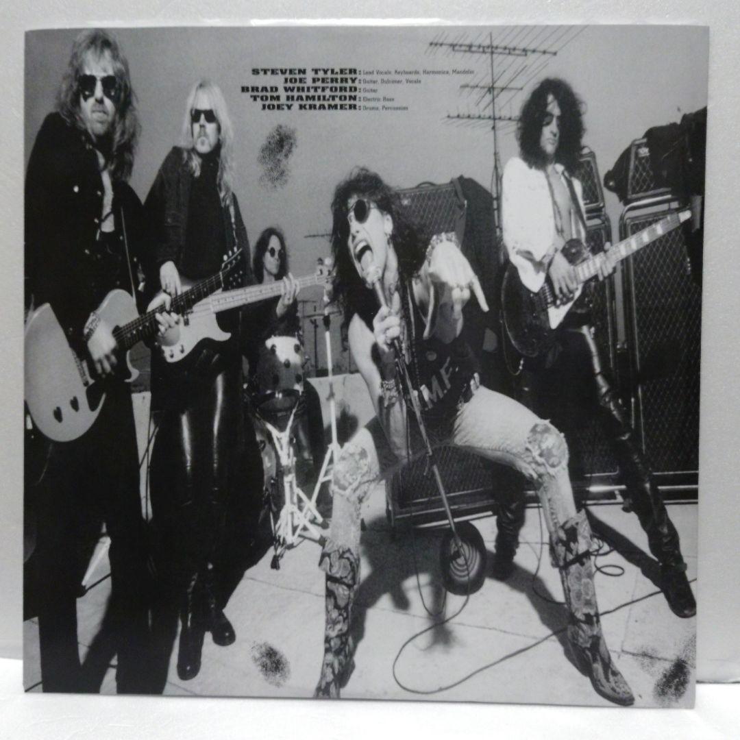 AEROSMITH / GET A GRIP (180g重量盤2LP)