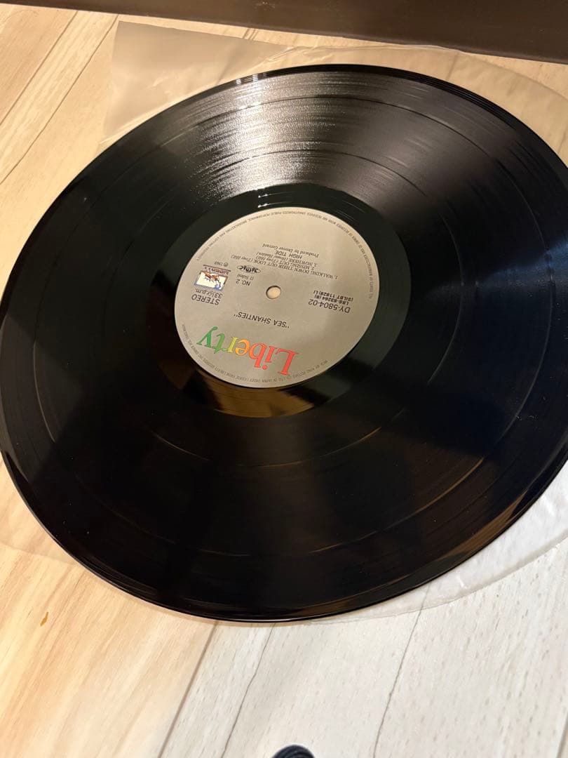High Tide/Sea Shanties/DY-5804-02 LPレコード