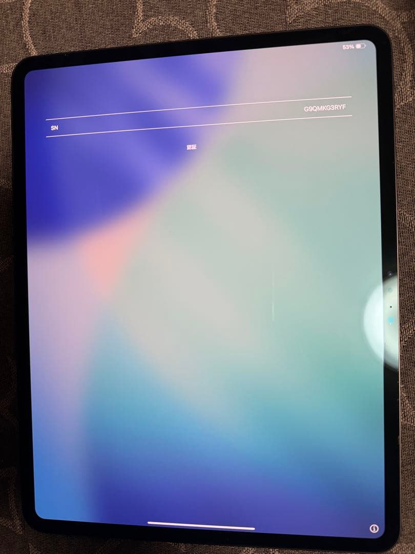 iPad pro (M4) 13インチ 256GB値下げします