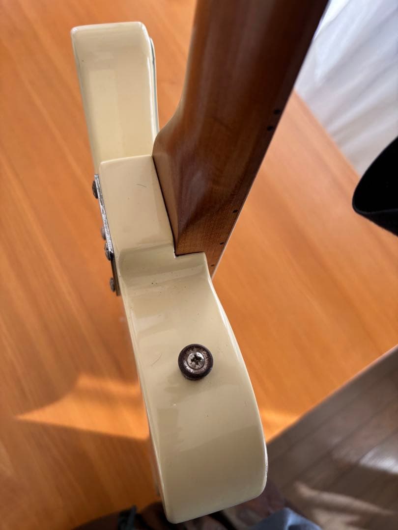 バッカス　bacchus BTE-2-RSM white 白