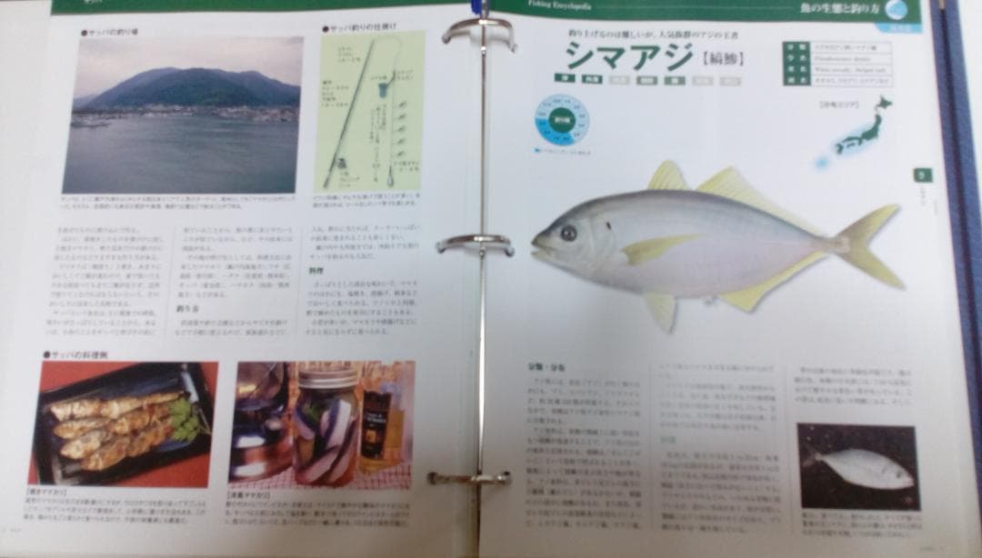 ■『週刊 日本の魚釣り』バインダー12冊■技術・道具・釣り場・魚・釣りのすべて■