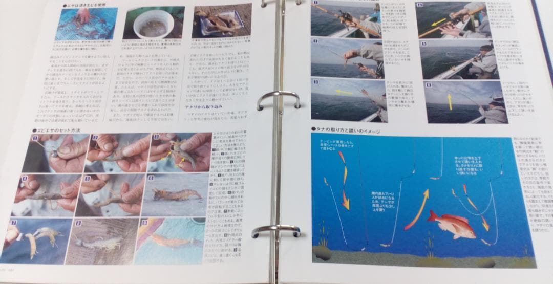■『週刊 日本の魚釣り』バインダー12冊■技術・道具・釣り場・魚・釣りのすべて■