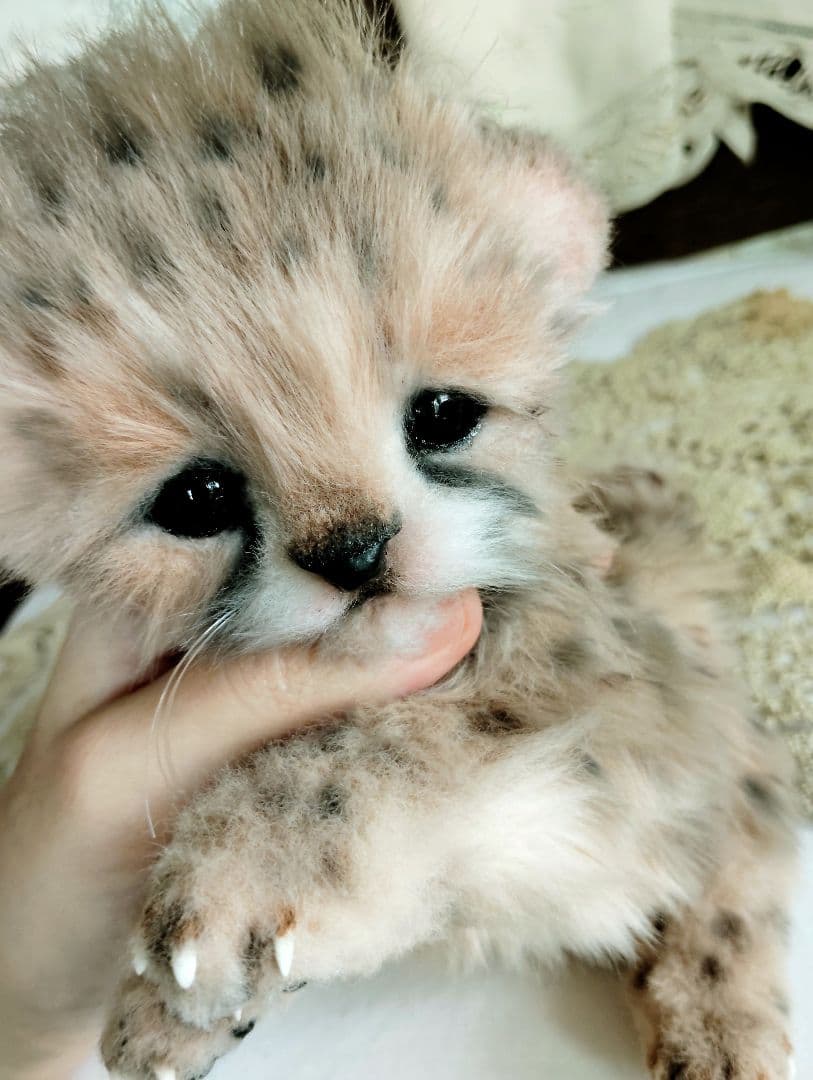 生後1ヶ月♡チーターベビー♡アートドール♡ぬいぐるみ♡
