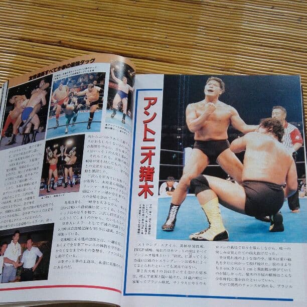 プロレス全書