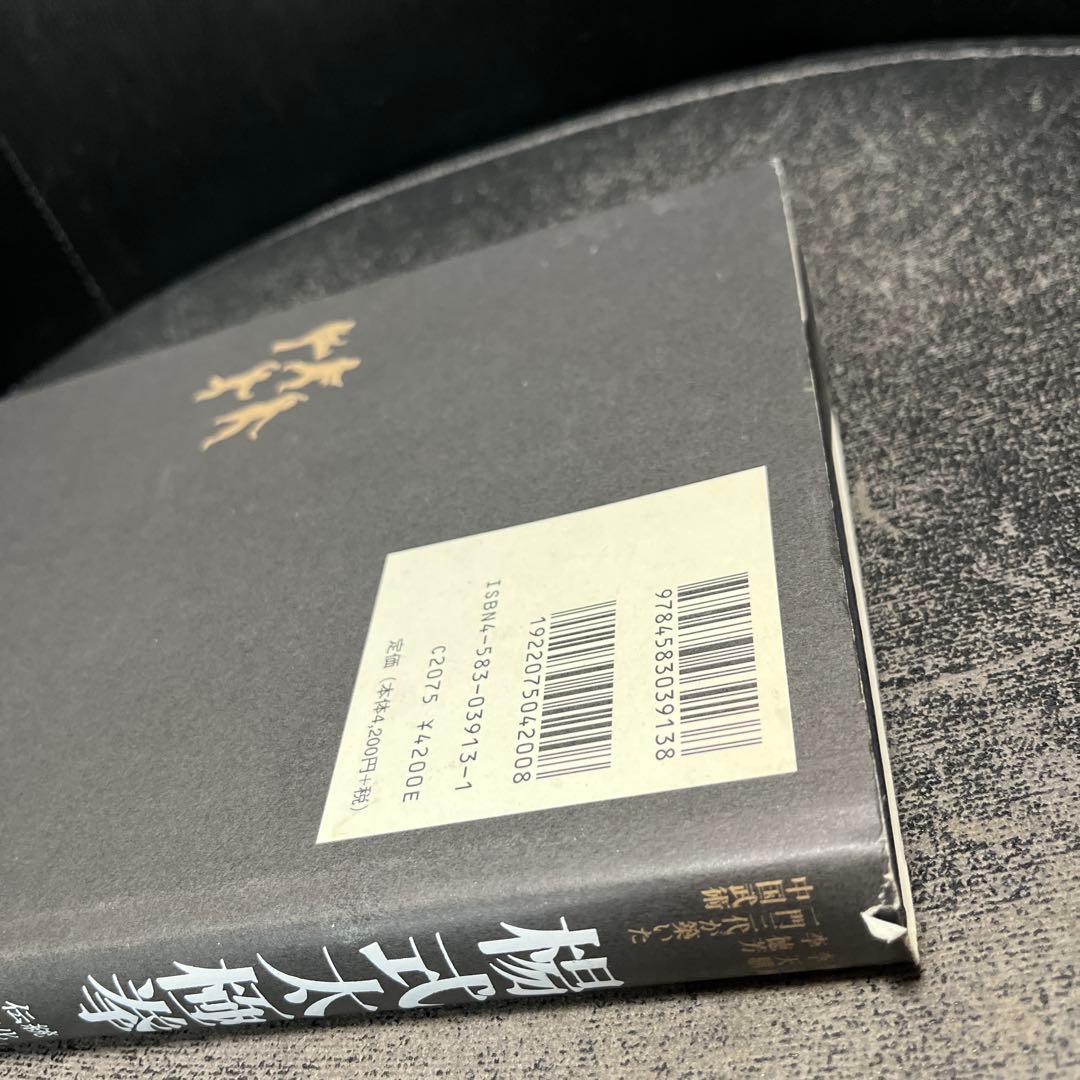 楊式太極拳 李徳印著