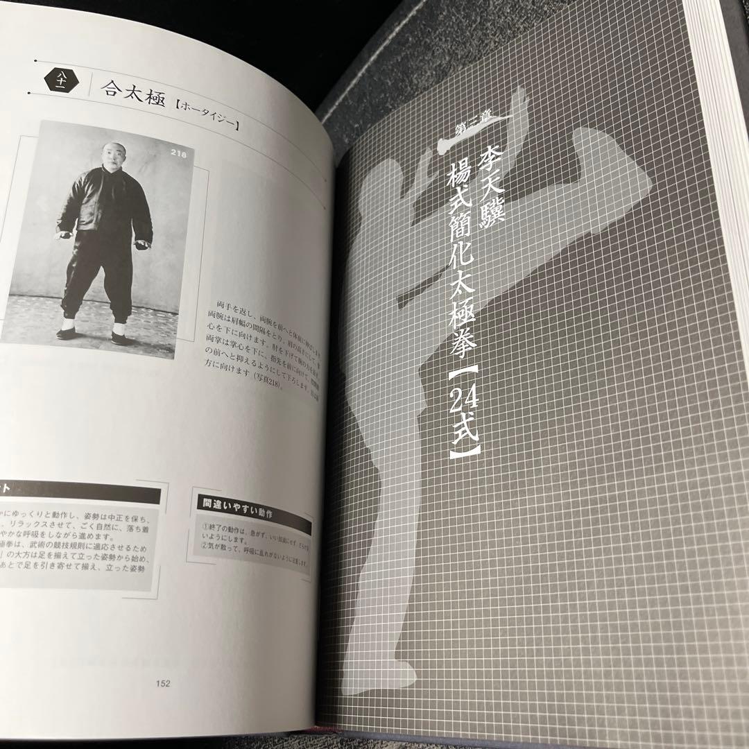 楊式太極拳 李徳印著
