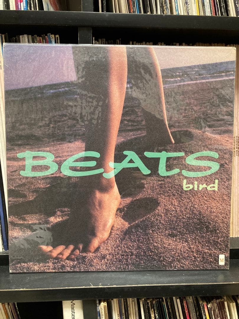 Bird レコード 7枚セット 大沢伸一 DEV LARGE SUIKEN
