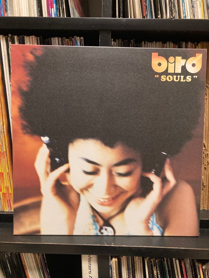 Bird レコード 7枚セット 大沢伸一 DEV LARGE SUIKEN