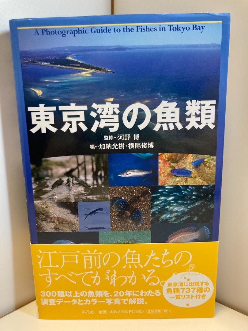 東京湾の魚類