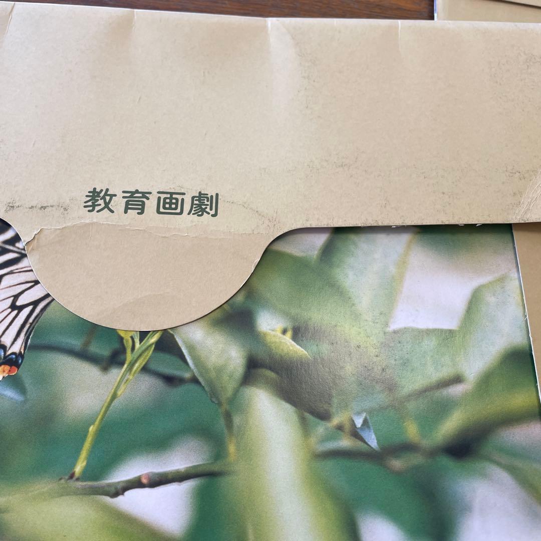 いきもの　教育画劇の紙芝居　10冊
