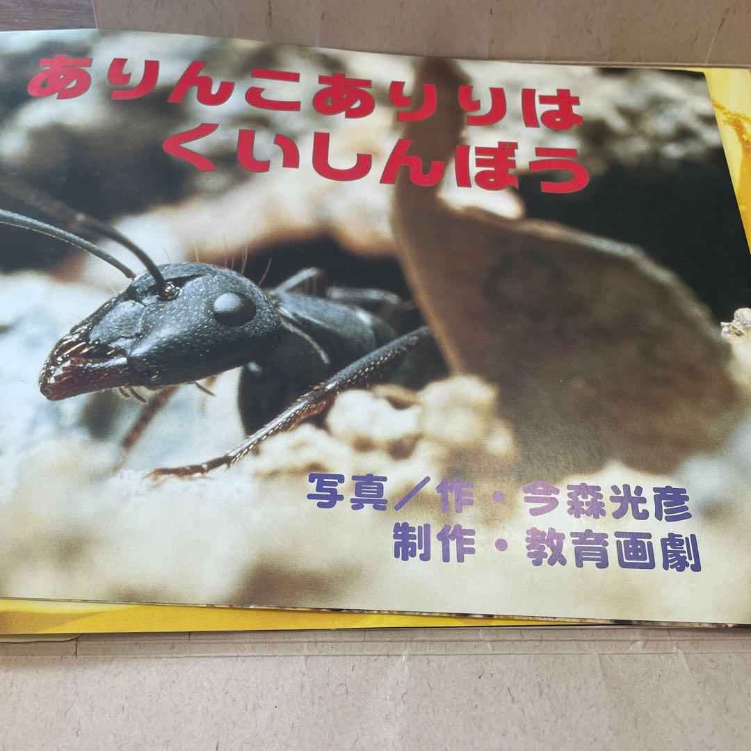 いきもの　教育画劇の紙芝居　10冊
