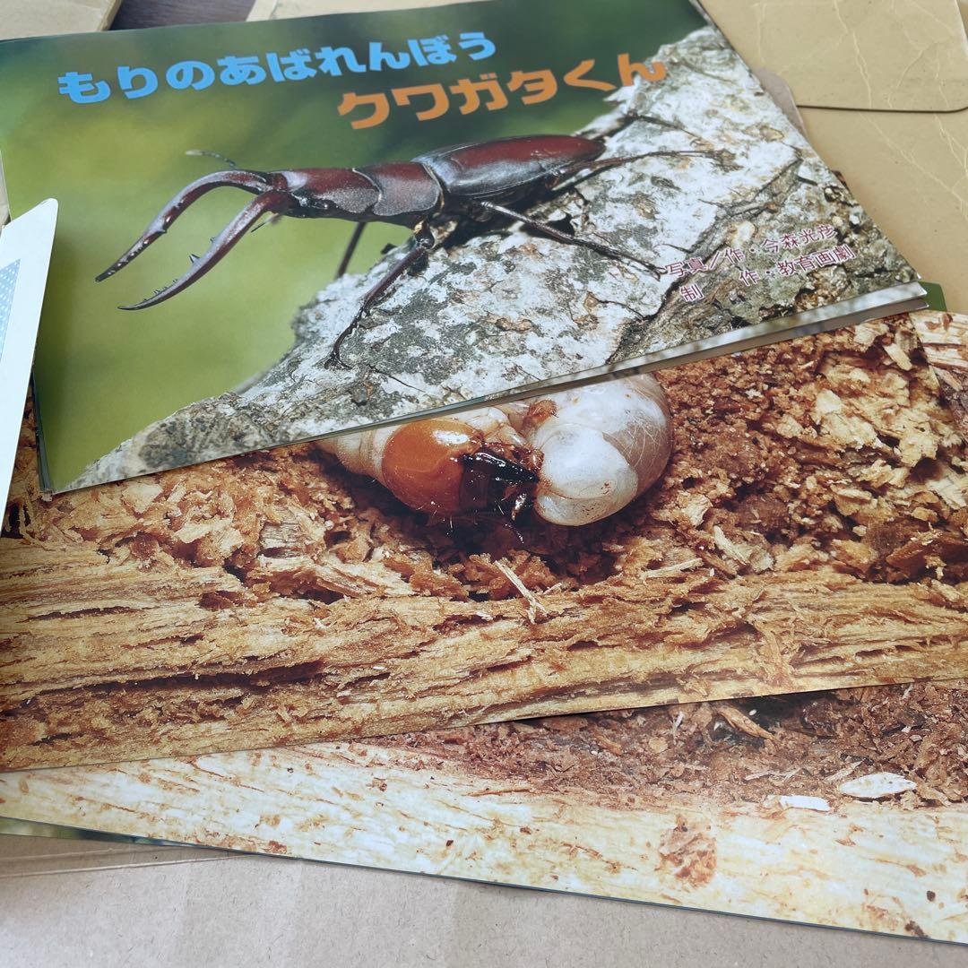 いきもの　教育画劇の紙芝居　10冊