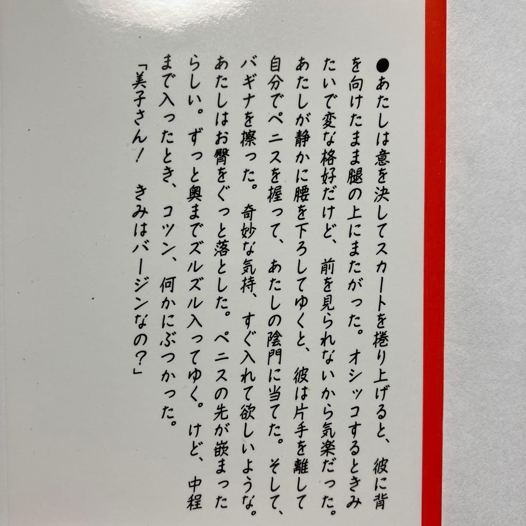 禁秘文学館 25 官能小説　フランス書院　フランス￼書院文庫
