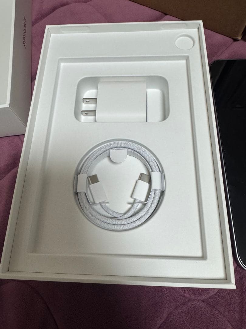 Apple iPad mini (第7世代) A17 pro WI-FI