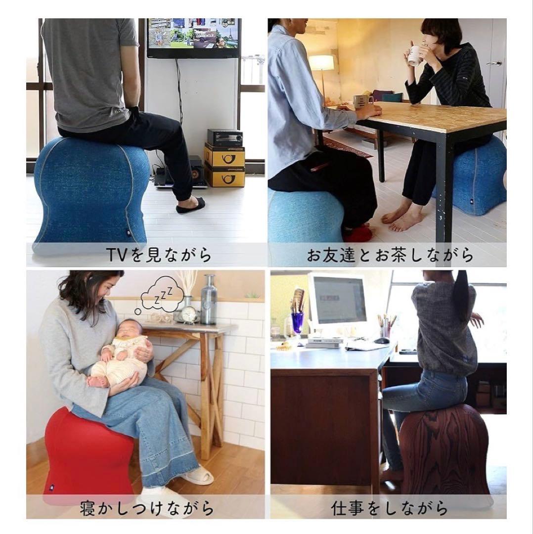 Jellyfish Chair バランスボールチェア
