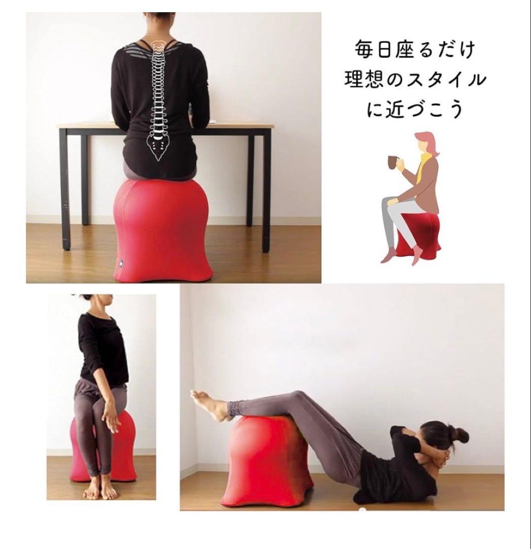 Jellyfish Chair バランスボールチェア