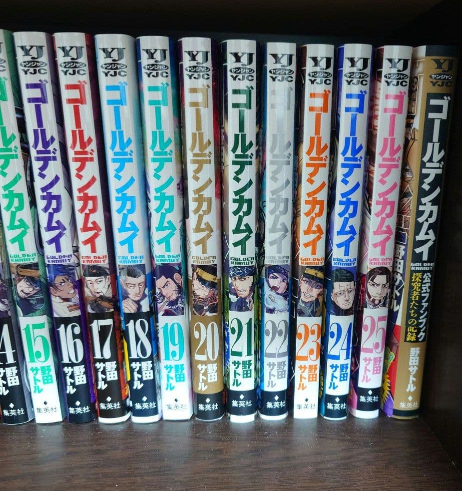 ゴールデンカムイ　25巻まで　公式ファンブック　DVD4巻付き