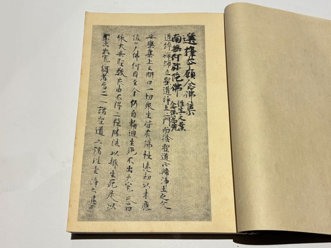 「国宝 選択本願念仏集」解題共（大正八年刊 五版） 2冊|法然 浄土宗 選択集