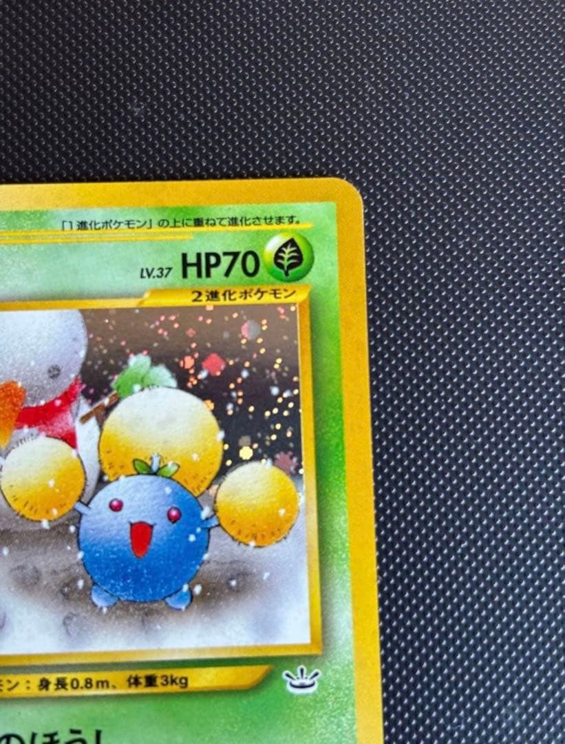 旧裏　極上美品　ワタッコ ★ 拡張パック第3弾 めざめる伝説