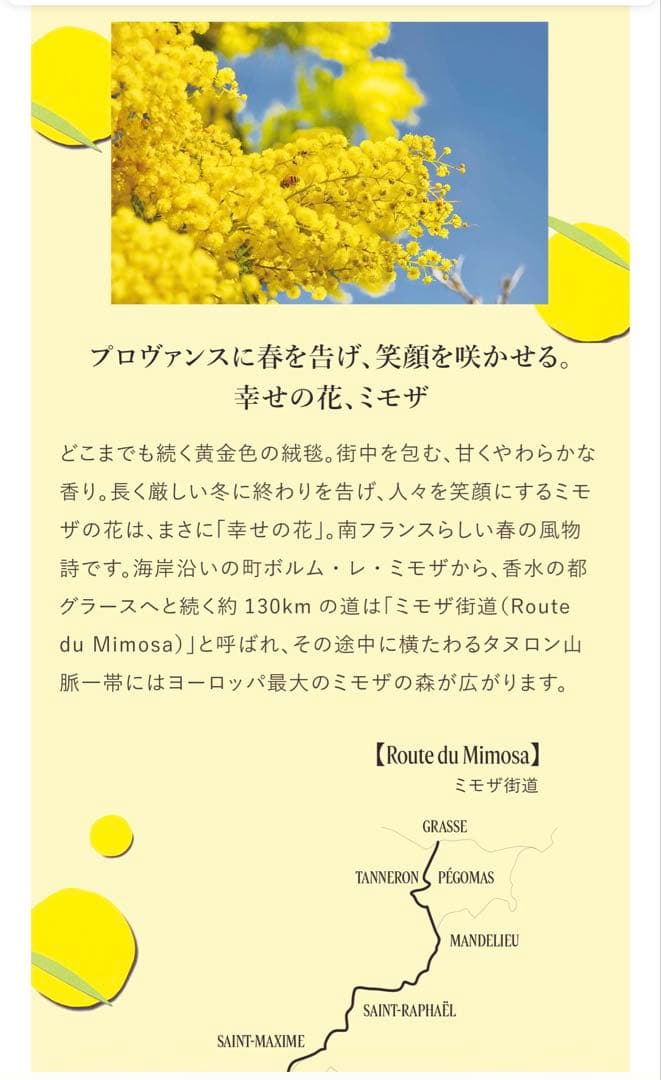【L'OCCITANE ロクシタン】ミモザオードトワレMIMOSA 限定品