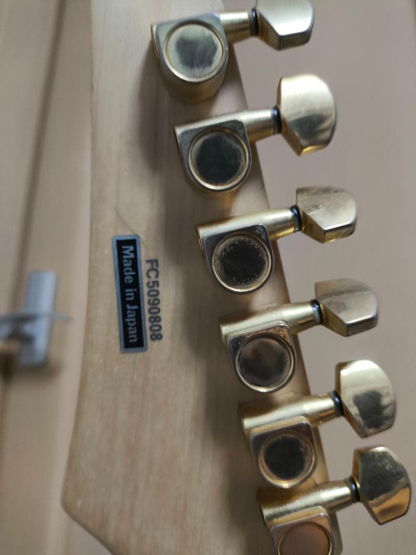 Ibanez　アイバニーズ　RG