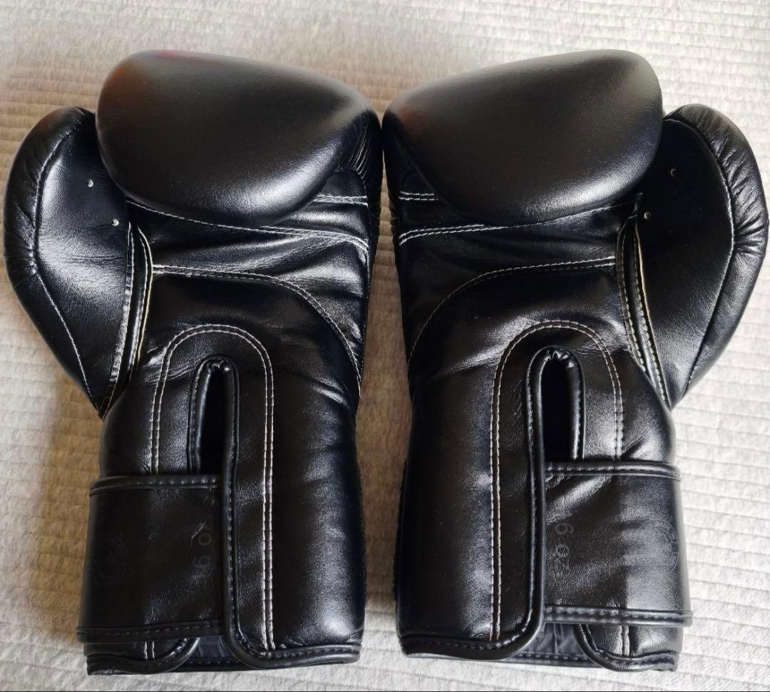 Fairtex フェアテックス 16oz BGV14 ボクシンググローブ