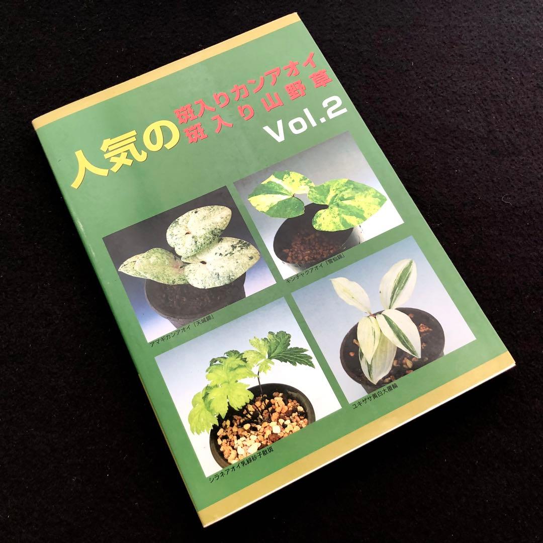 【絶版】「人気の斑入りカンアオイ・斑入り山野草 Vol.2」千早書房