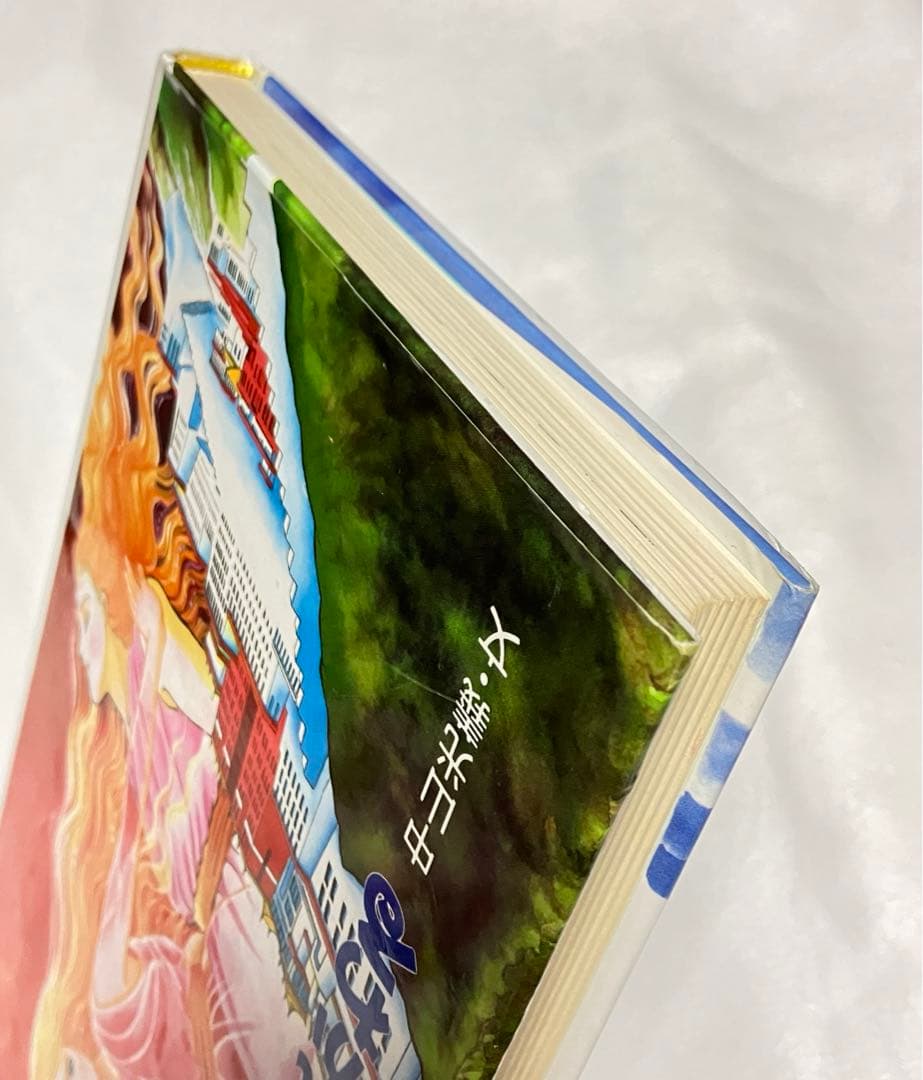 【希少】死んだ人間が生まれかわる 本 児童書 生まれかわり　ダライラマ