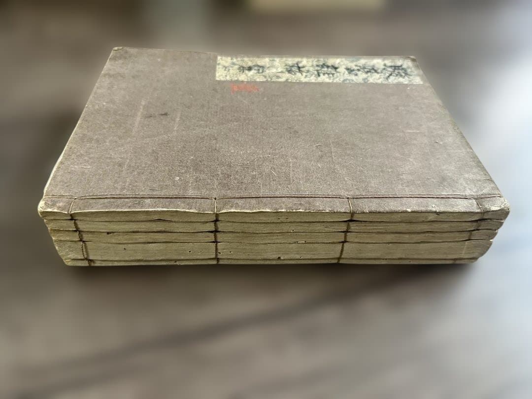 駿臺雑話 五卷5冊 写本 和本 唐本 古書 古文書
