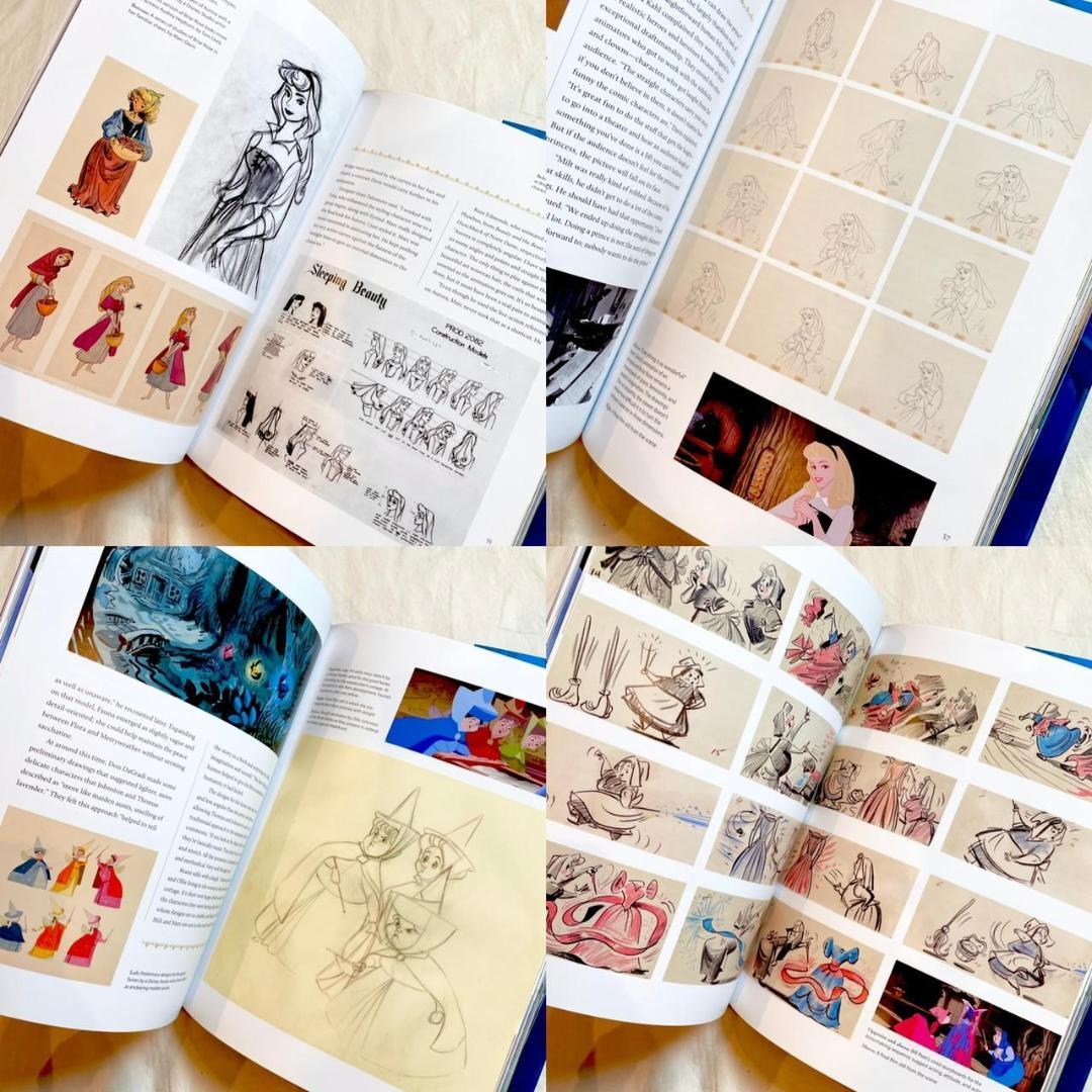 英語　絵本　洋書　アートブック　ディズニープリンセス　眠れる森の美女　オーロラ姫