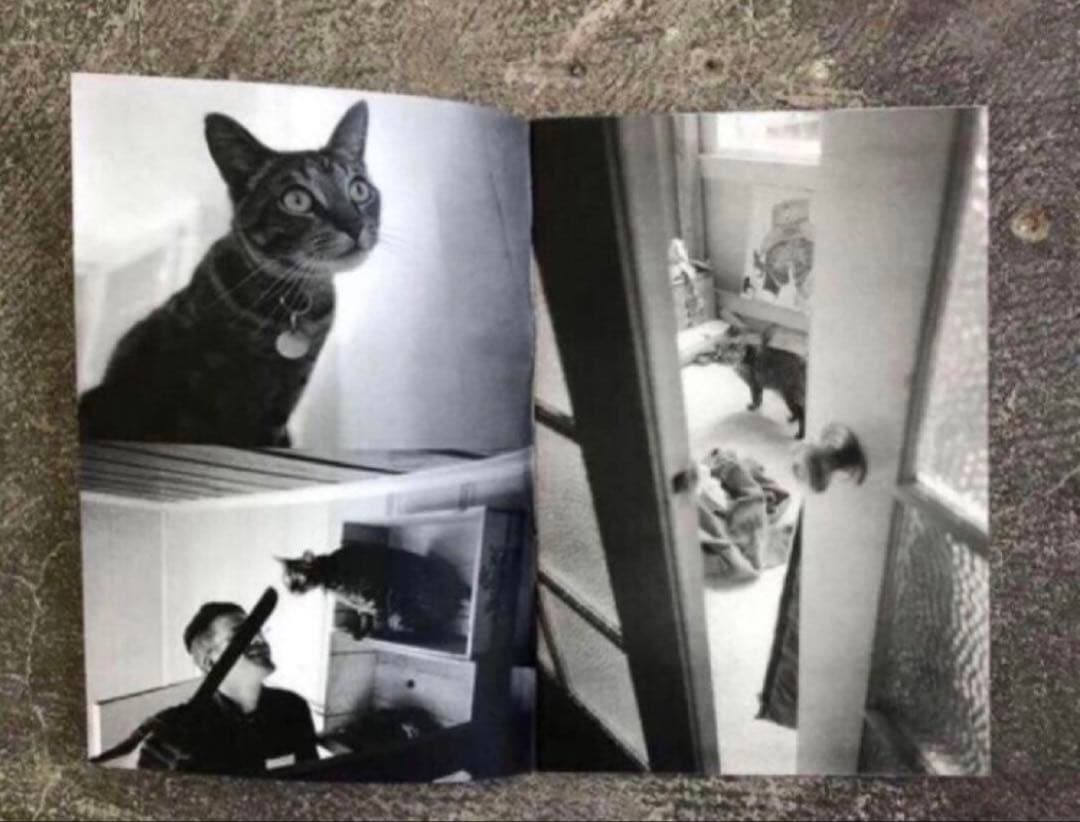 絶版‼️ Dennis McGrath 写真集 150部　SUPREME