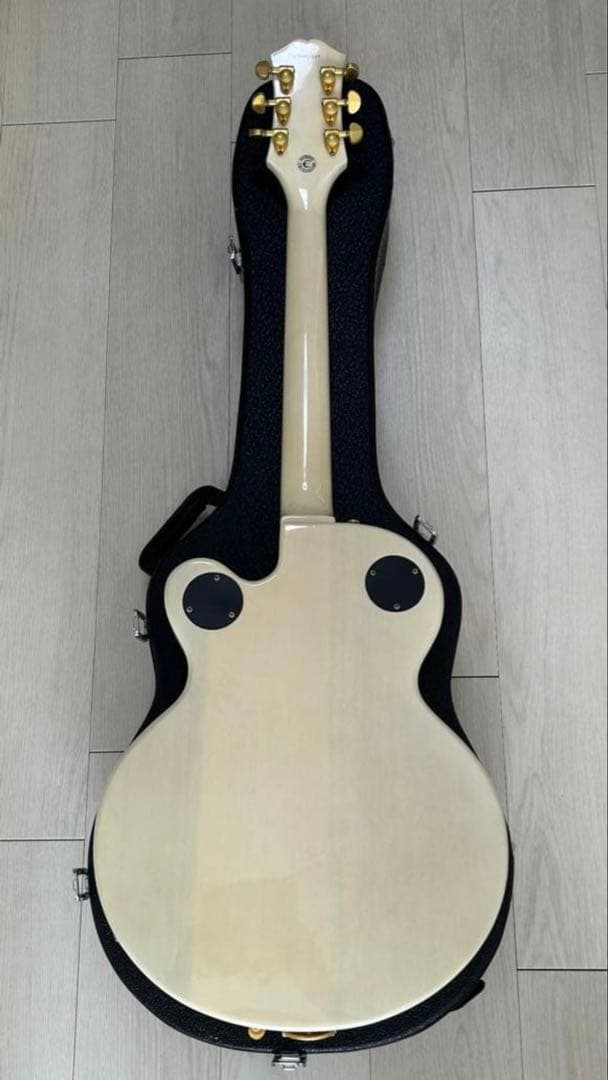【‎一旦最終値下げなので買ってください】Epiphone WildKat