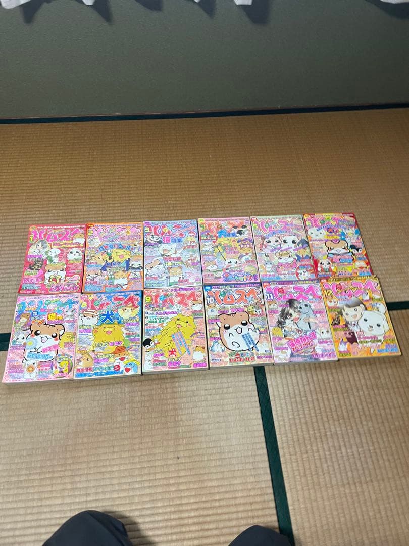 ハムスペ　ハムスター倶楽部　平成16年4月〜平成19年8月　41冊