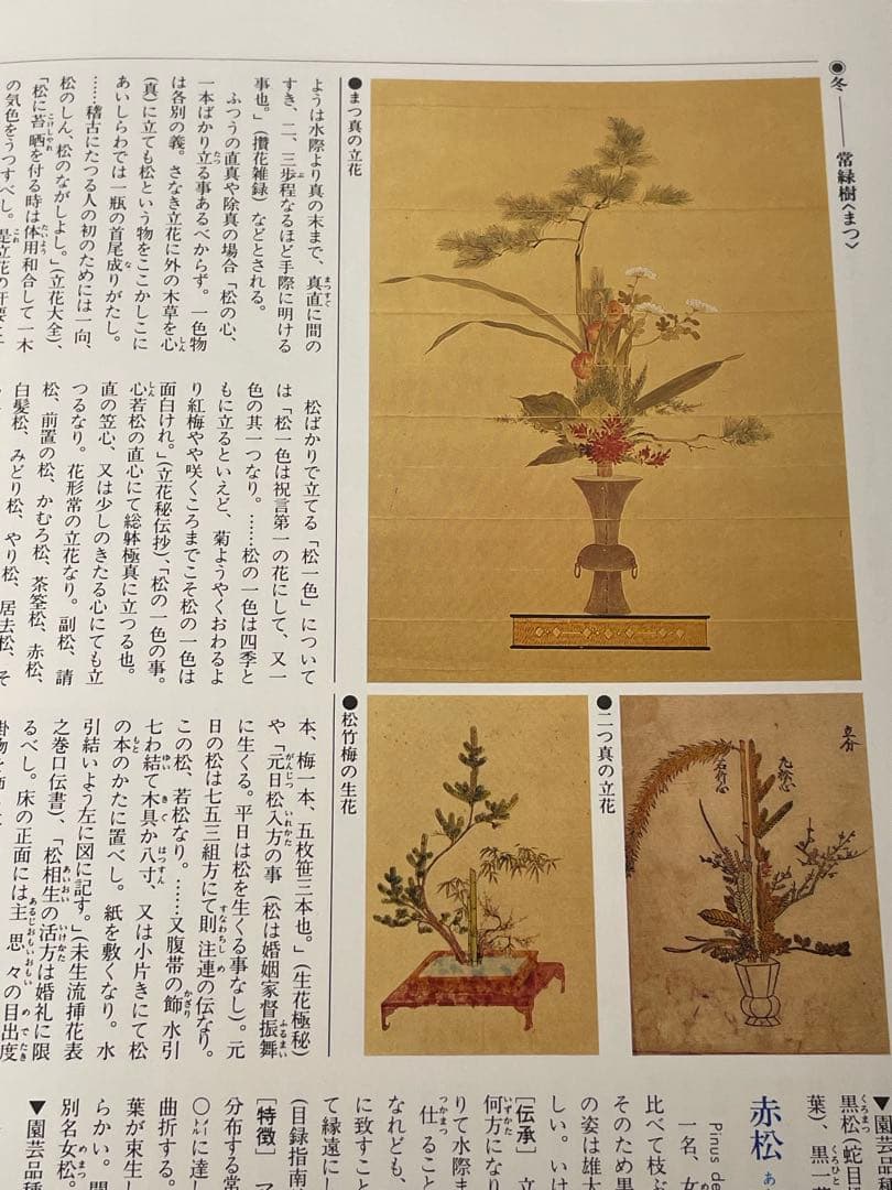華道の先生のお薦め　四季別いけばな花材事典　講談社　華道茶道に必携