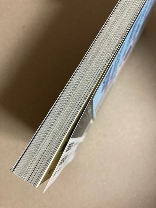 超攻略本 ゲームの歩き方 BOOKS DX オウバードフォースアフター