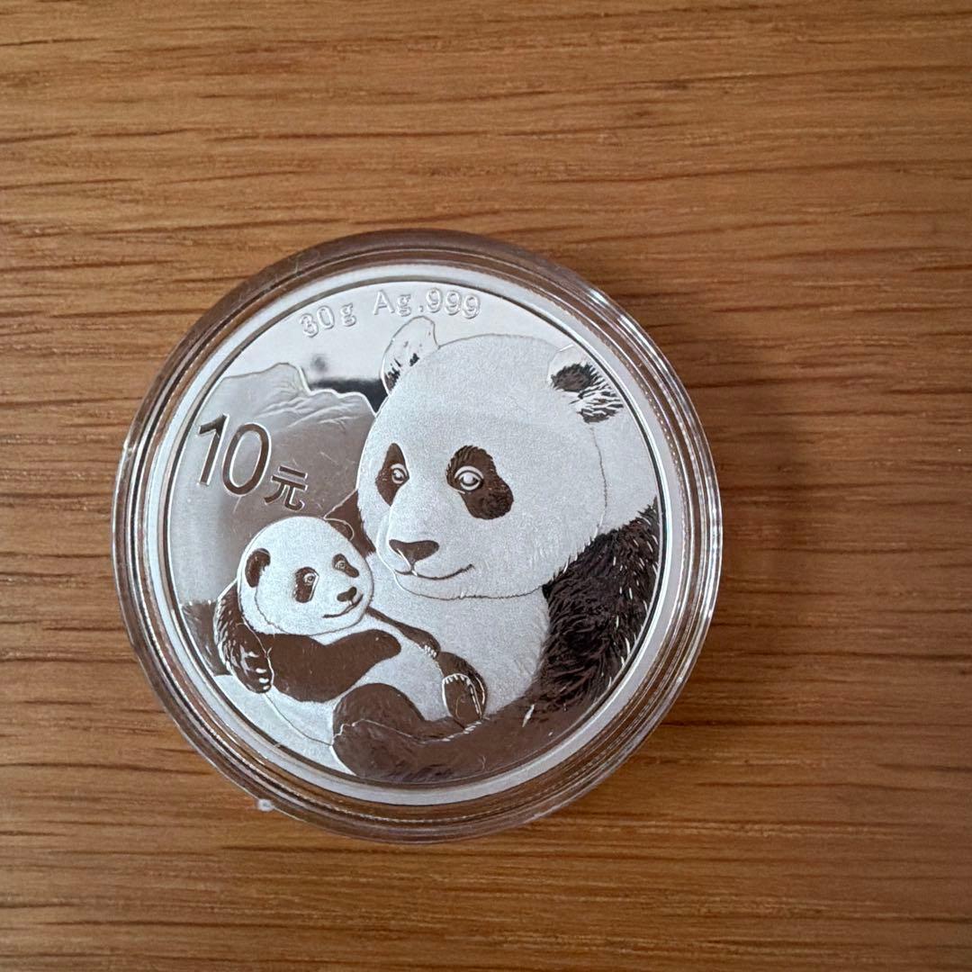 2019年 パンダ銀貨
