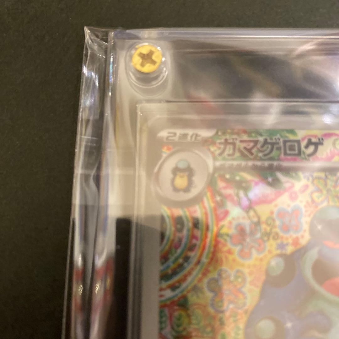 美品　ポケモンカード ガマゲロゲ ar